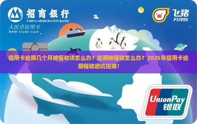 信用卡逾期几个月被催收该怎么办