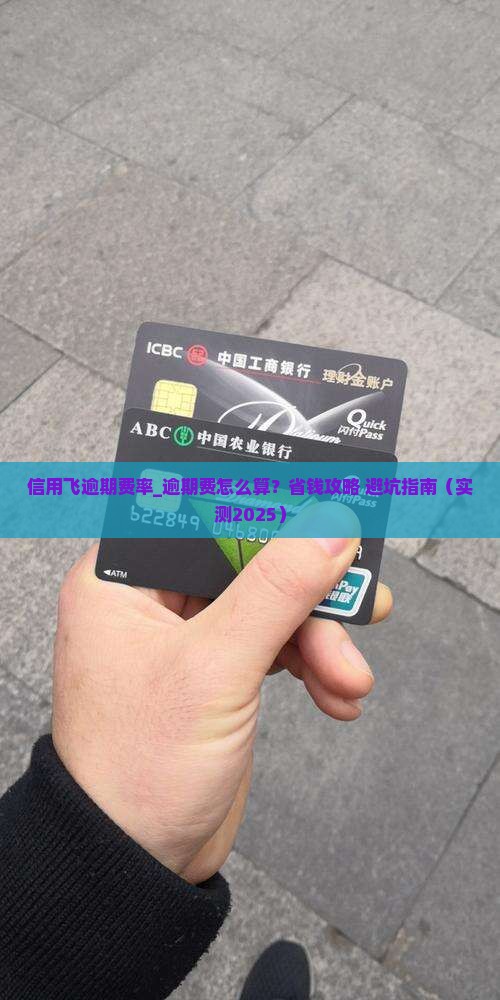 信用飞逾期费率