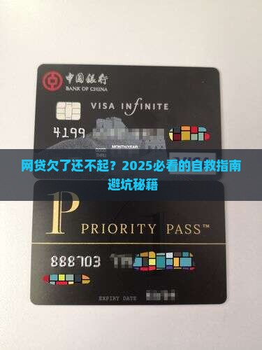 银行网贷没有偿还能力怎么处理