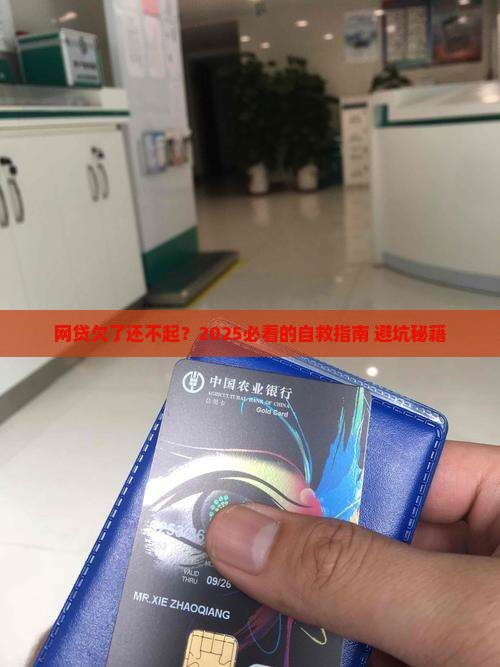 银行网贷没有偿还能力怎么处理