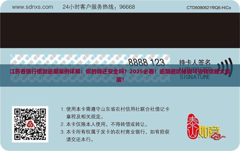 江苏各银行借款逾期案例详解