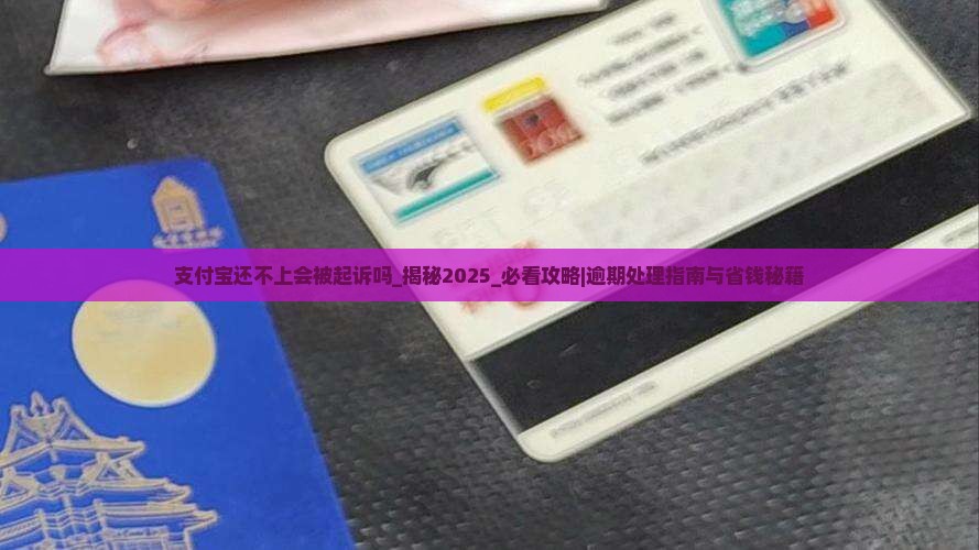 支付宝还不上会被起诉吗