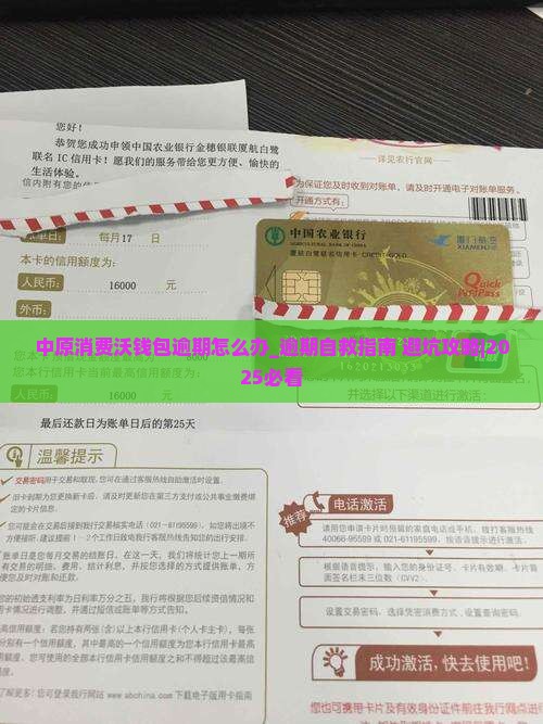 中原消费沃钱包逾期怎么办