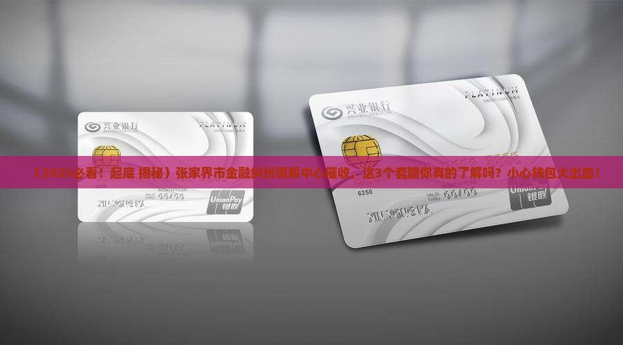 张家界市金融纠纷调解中心催收
