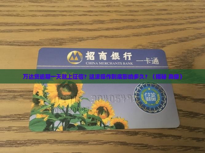 万达贷逾期一天上征信会影响多久