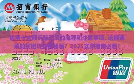 信用卡逾期诉前调解的流程和注意事项