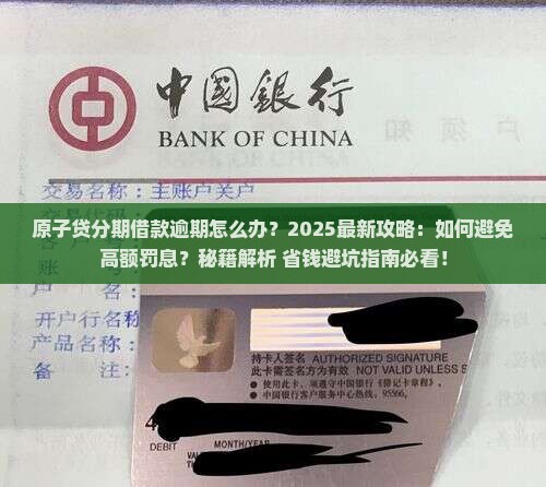 原子贷分期借款逾期怎么办