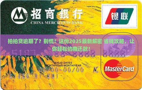 拍拍贷逾期协商还款步骤详解
