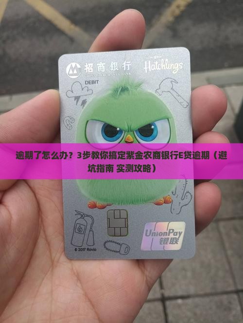 紫金农商银行E贷逾期怎么处理