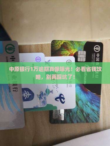 中原银行逾期1万元