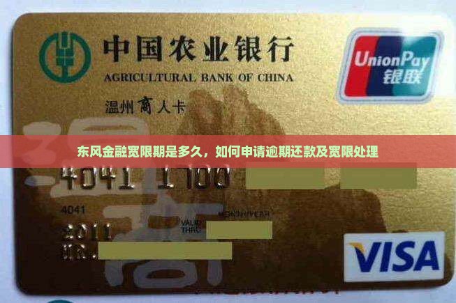 东风金融宽限期是多久如何申请