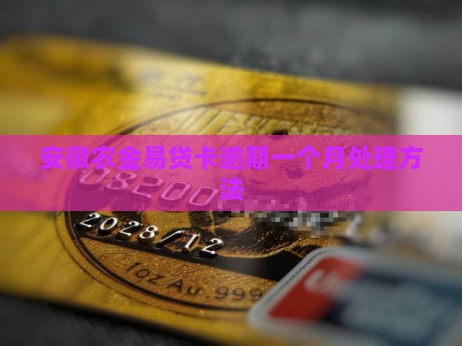 安徽农金易贷卡逾期一个月如何处理