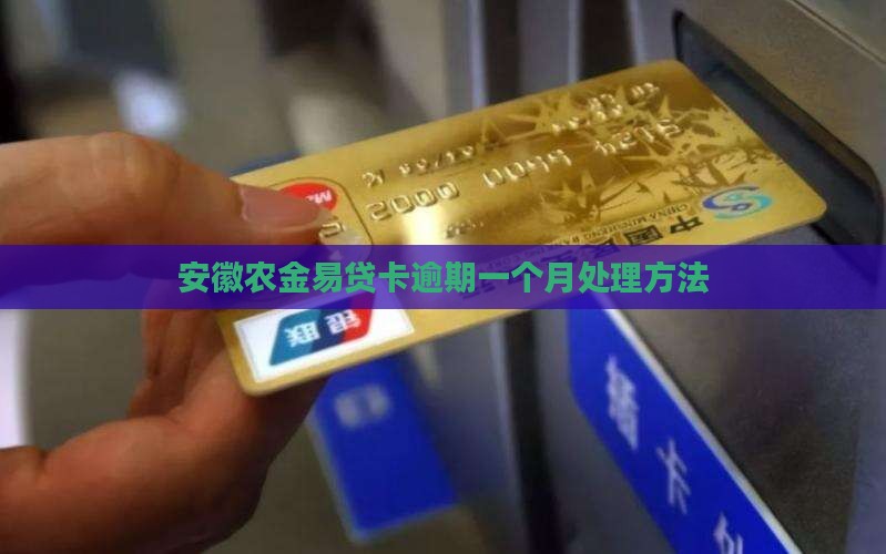 安徽农金易贷卡逾期一个月如何处理