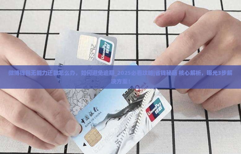 微博钱包无能力还款怎么办