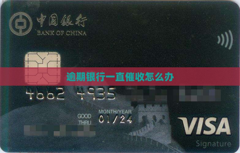 逾期银行一直催收怎么办