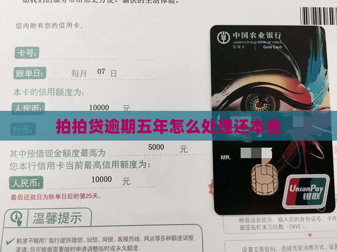 拍拍贷逾期五年如何处理还本金