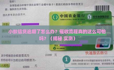 小蚁信贷逾期催收流程详解
