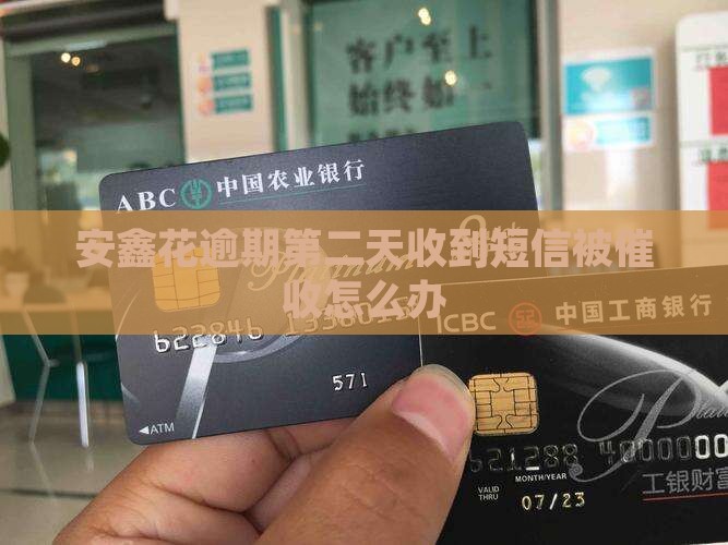 安鑫花逾期第二天收到短信怎么处理