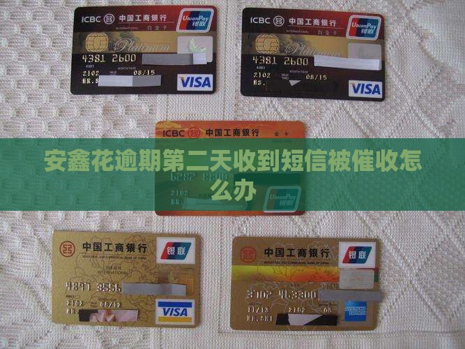 安鑫花逾期第二天收到短信怎么处理