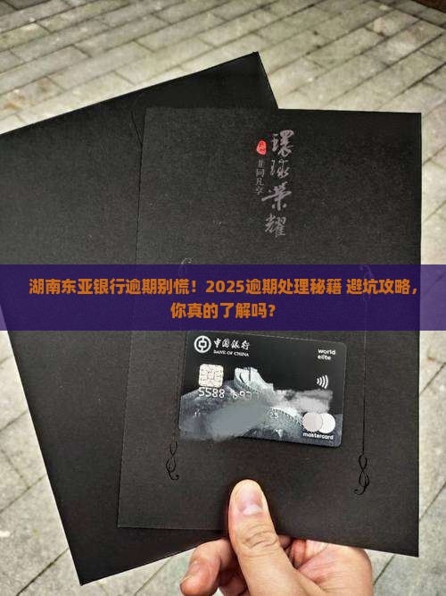 湖南东亚银行逾期处理办法