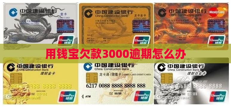 用钱宝欠款3000逾期怎么办