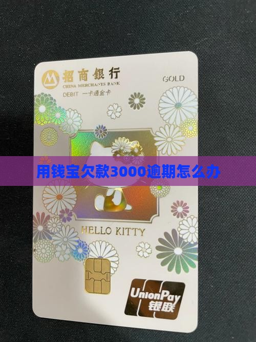 用钱宝欠款3000逾期怎么办