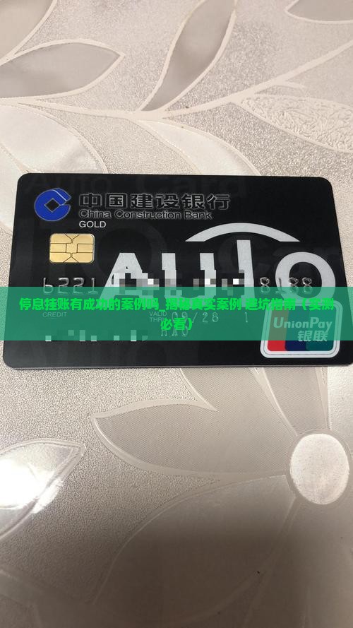 停息挂账有成功的案例吗