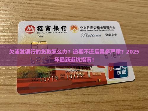 欠浦发银行的贷款怎么办