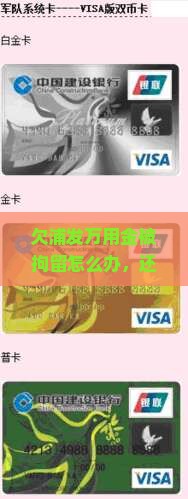 欠浦发万用金被拘留怎么办