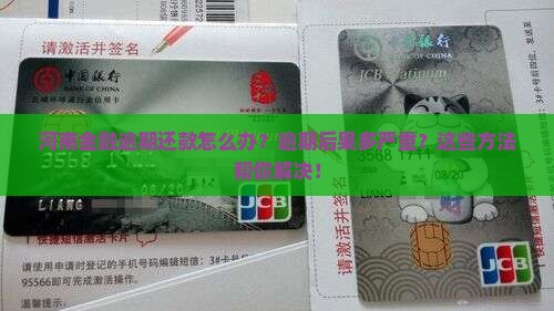 河南招联金融逾期还款怎么办