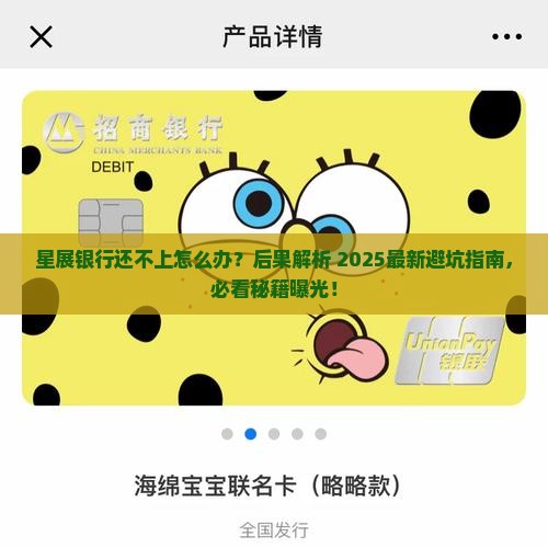 星展银行还不上后果