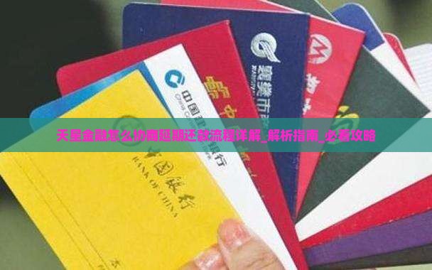 天星金融怎么协商延期还款流程详解