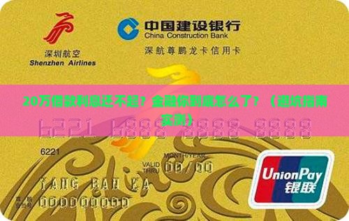招联金融20万借款无力偿还利息怎么办