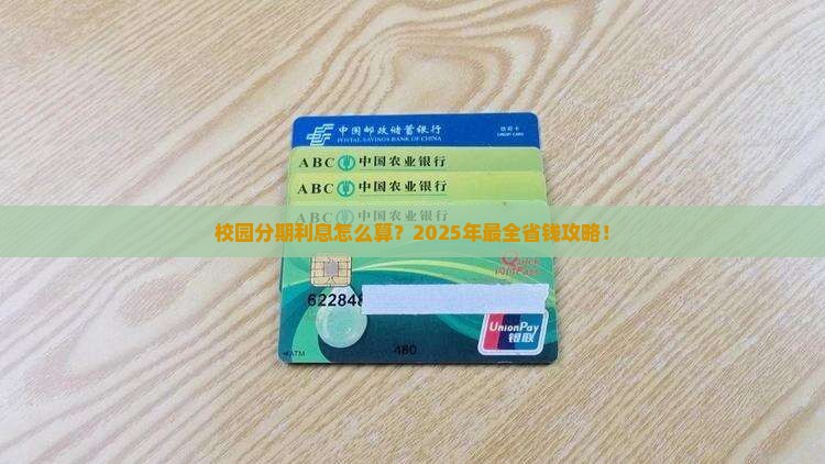 校园白条分期利息怎么算