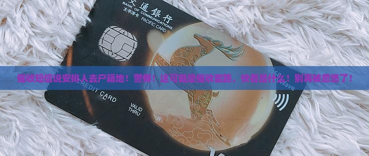 催收短信说安排人去户籍地
