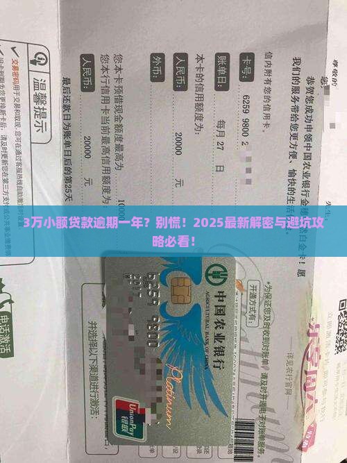 小额贷款3万逾期一年会有什么后果