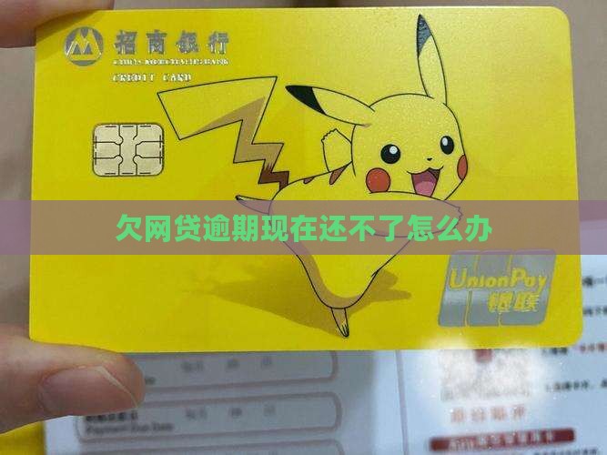 欠网贷逾期现在还不了怎么办