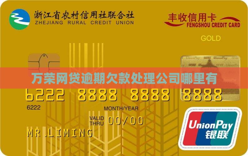 万荣哪里有处理网贷欠款的地方