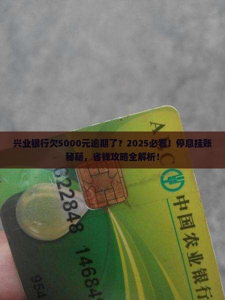 兴业银行逾期5000元能否申请停息挂账