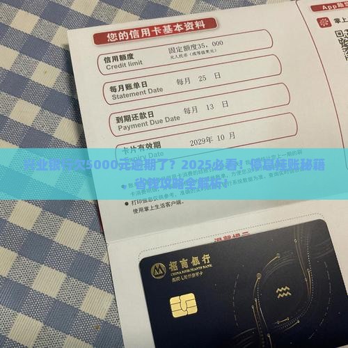兴业银行逾期5000元能否申请停息挂账