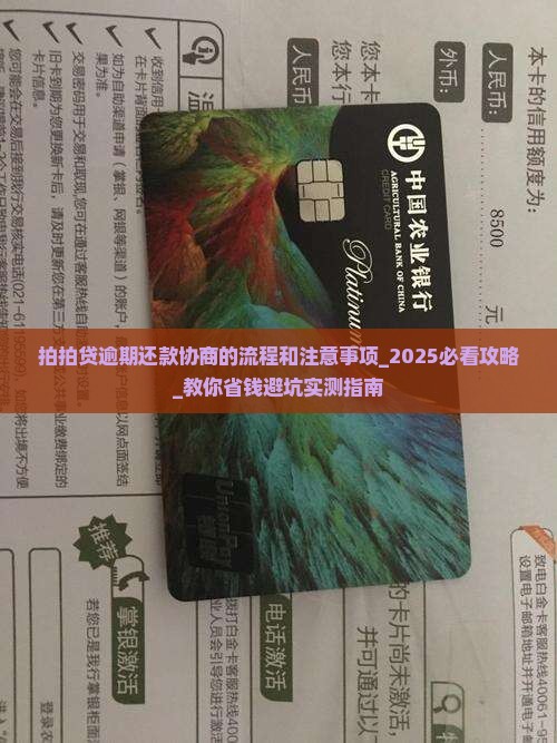 拍拍贷逾期还款协商的流程和注意事项