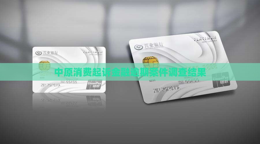 中原消费起诉案件调查结果