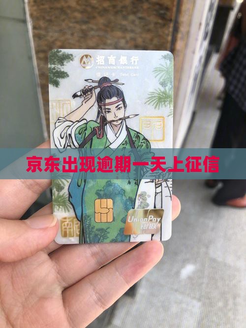 京东白条出现逾期上征信