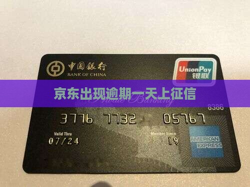 京东白条出现逾期上征信