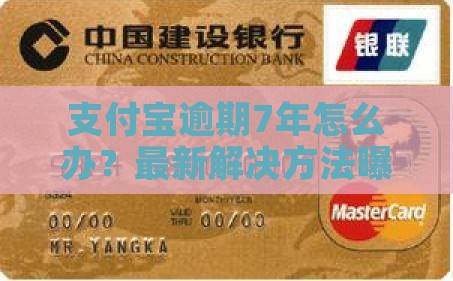 支付宝逾期7年怎么办