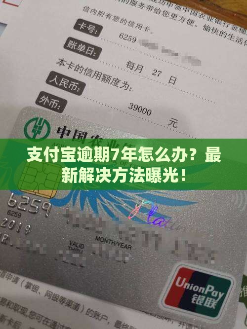 支付宝逾期7年怎么办