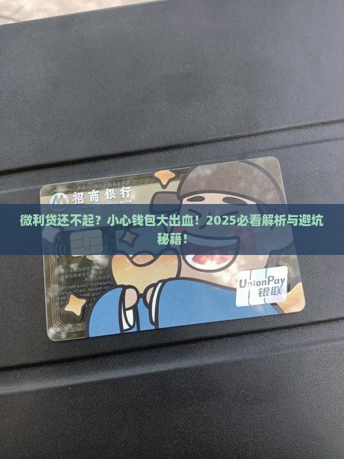 微利贷还不起会怎么样