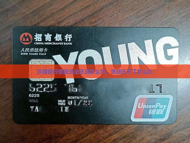 农商银行借款无法还清怎么办