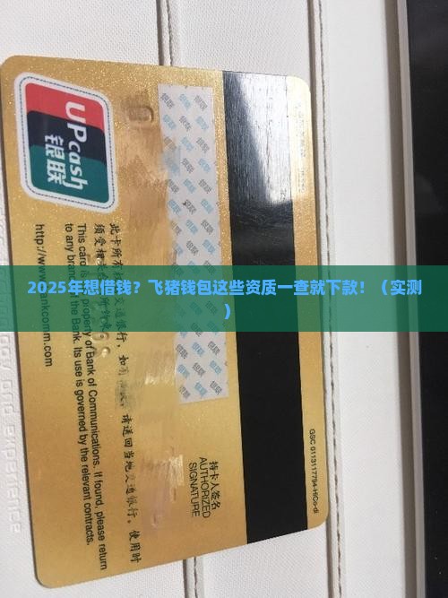 飞猪钱包借钱什么资质好下款