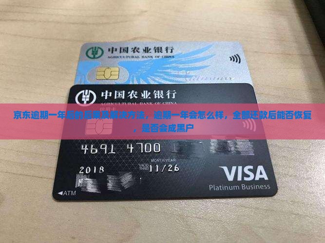 京东白条逾期一年后的后果及解决方法